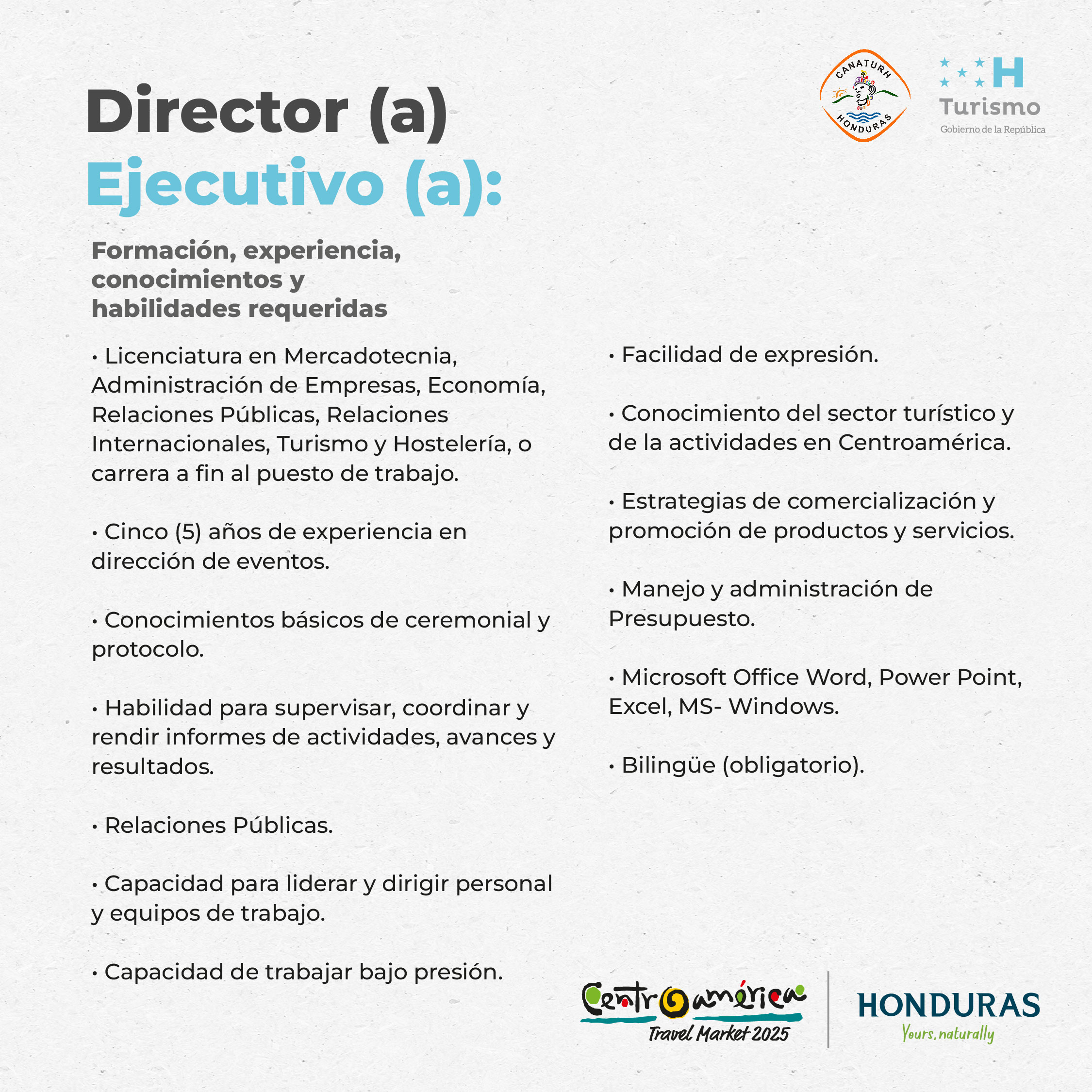 Director Ejecutivo