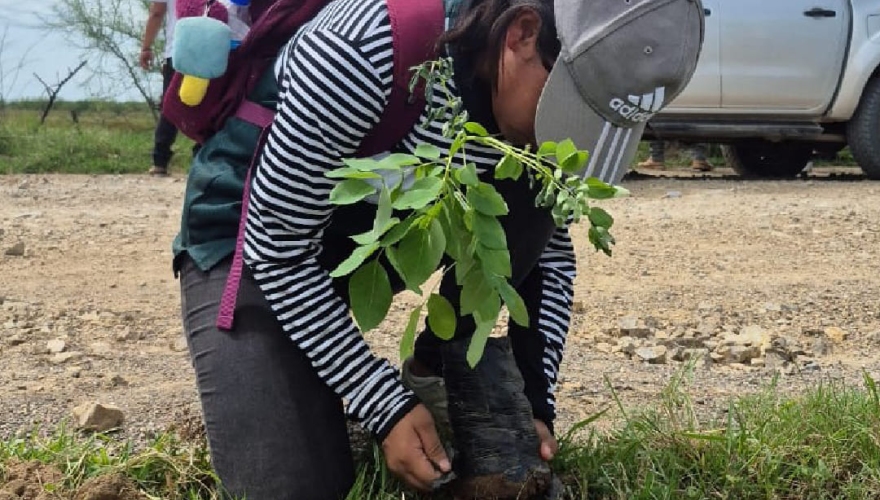 Guardianes del Patrimonio