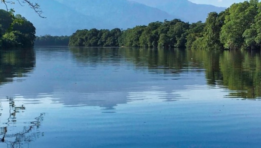 Laguna De Guaimoreto Un Refugio De Vida Silvestre | Secretaría De Turismo