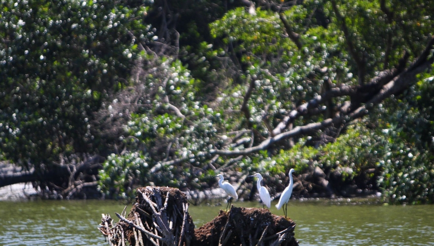 Ministra de Turismo